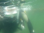 水面移動！